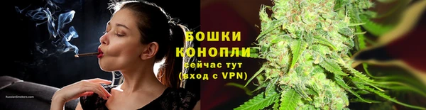 spice Бугульма