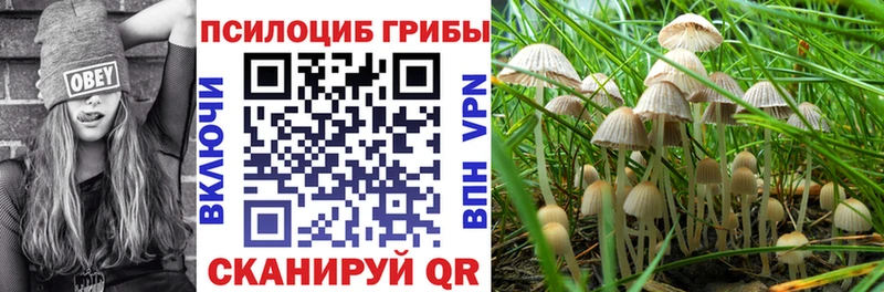 цена   Томилино  Псилоцибиновые грибы прущие грибы 